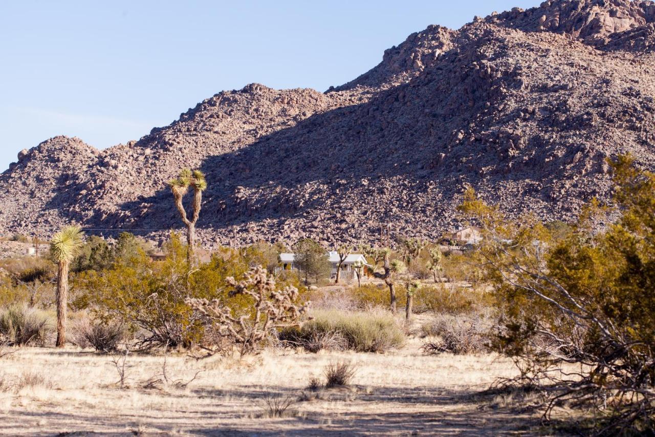 @ Marbella Lane - 10 Acres Oasis Desert Retreat! 约书亚树 外观 照片